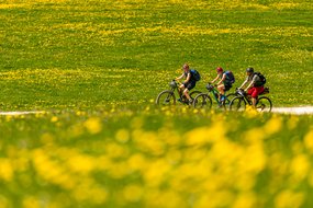 Biker auf der Alm