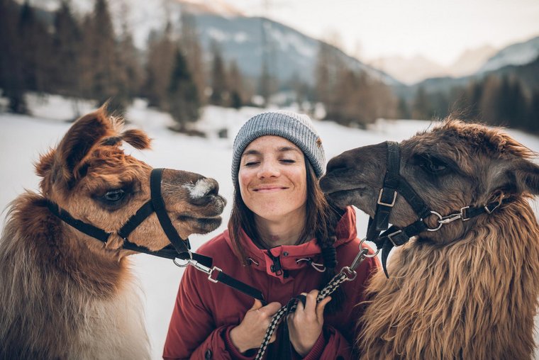 Lamas sind sehr zutrauliche Tiere Frau mit zwei Lamas