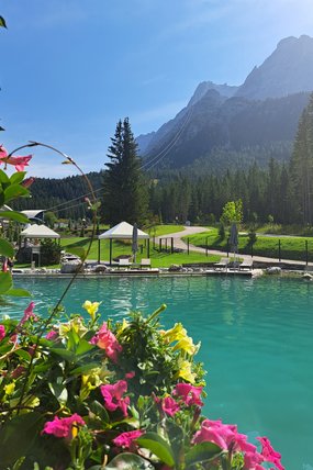 Zugspitz Resort Ansicht Teich mit pinken Blumen