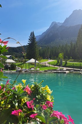 Zugspitz Resort Ansicht Teich mit Blumen Zugspitz Resort Ansicht Teich mit pinken Blumen