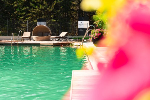 Schwimmteich Zugspitz Resort Blumen im Vodergrund