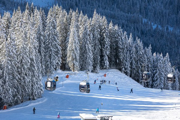 Skifahrer bei der Abfahrt