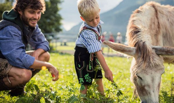 Familie auf Sommerwiese