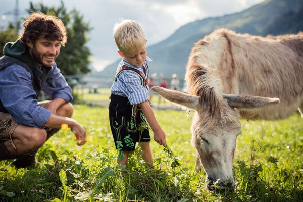 Familie auf Sommerwiese