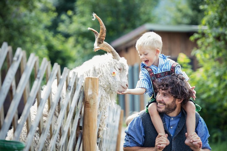 Vater hat sein Kind auf den Schultern und sie streicheln eine Ziege