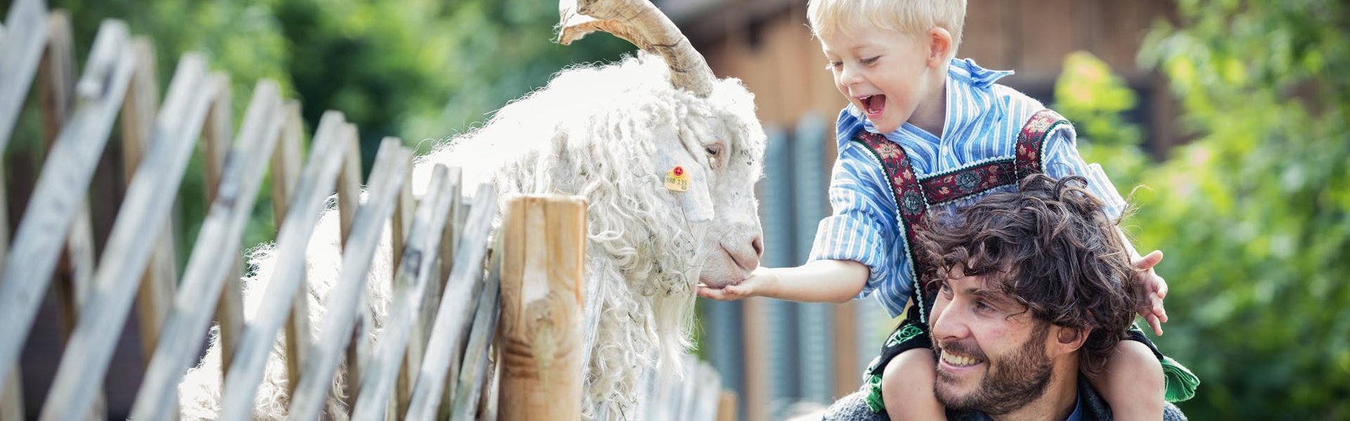 Kind füttert Ziegenbock