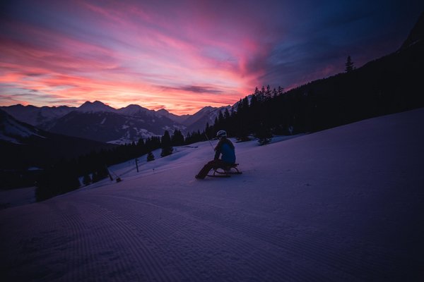 Nachtrodler bei Abendrot