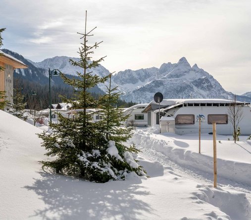 Wohnwagen im Schnee mit Baum