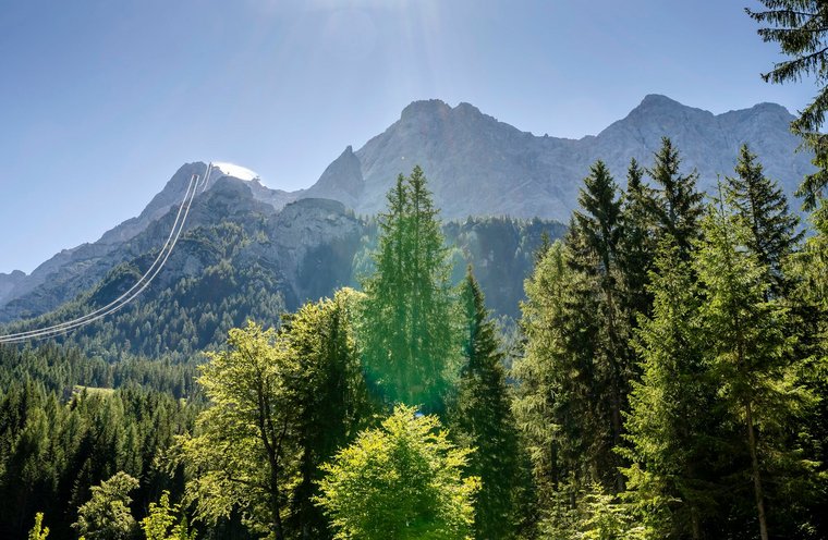 Wald vor Bergspitzen Blick auf die Zugpsitze