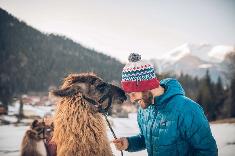 Mann und Lama stehen sich gegenüber im Schnee